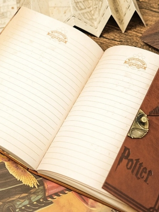 Harry Potter Premium Bloknot — Golden Snitch dizaynli vintage kundalik va sovg‘a daftari