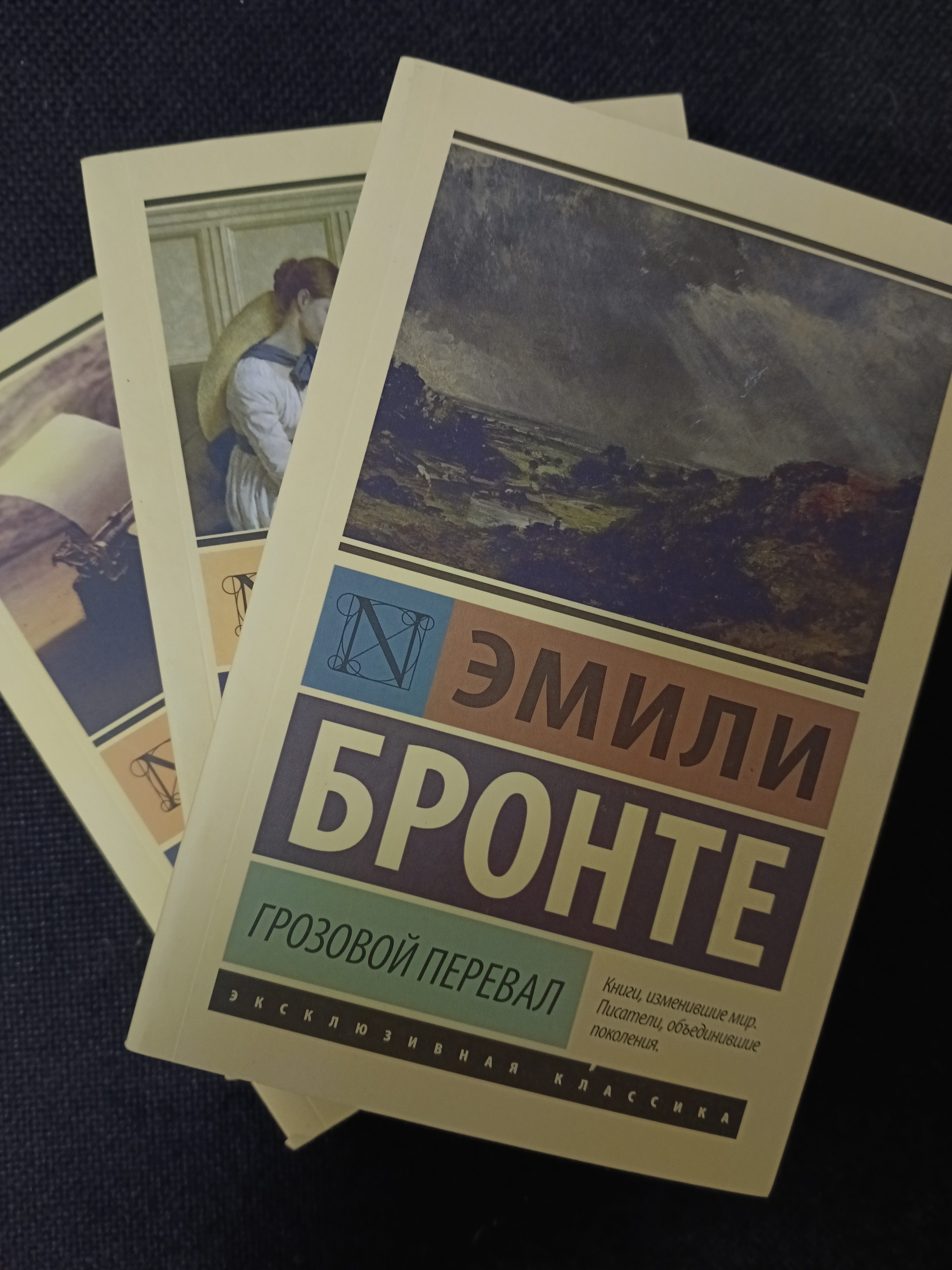 Грозовой перевал, Эмили Бронте