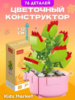 Korall