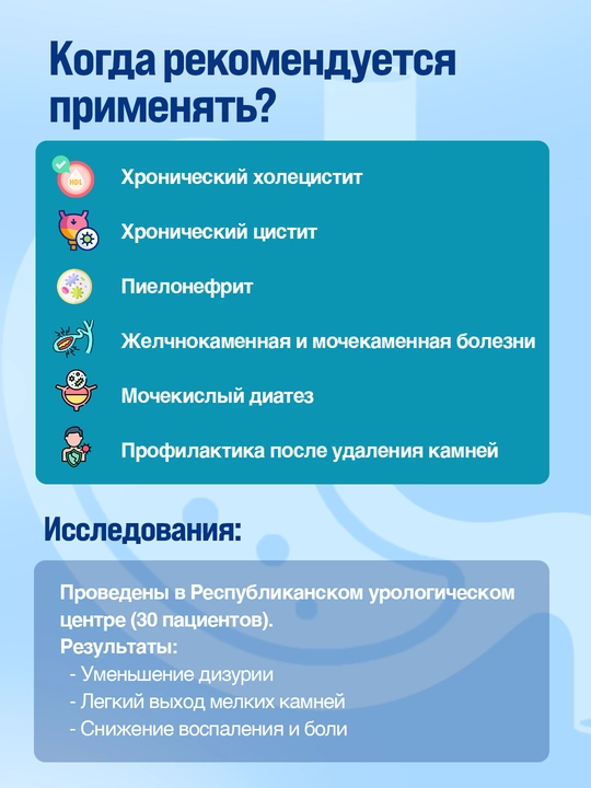 Солнит фитокомплекс - поддержка функции почек и мочевыводящих путей, 40 шт