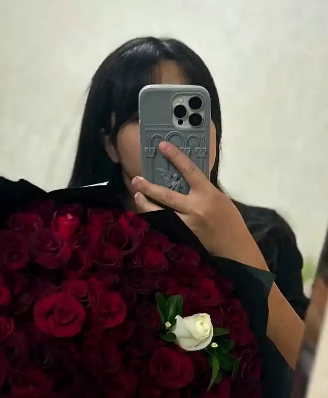 IPhone g‘ilofi, oq, kulrang g‘ilof, 13, 14, 15, 16, PRO, PRO MAX