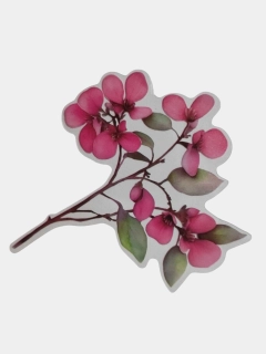 Marsala