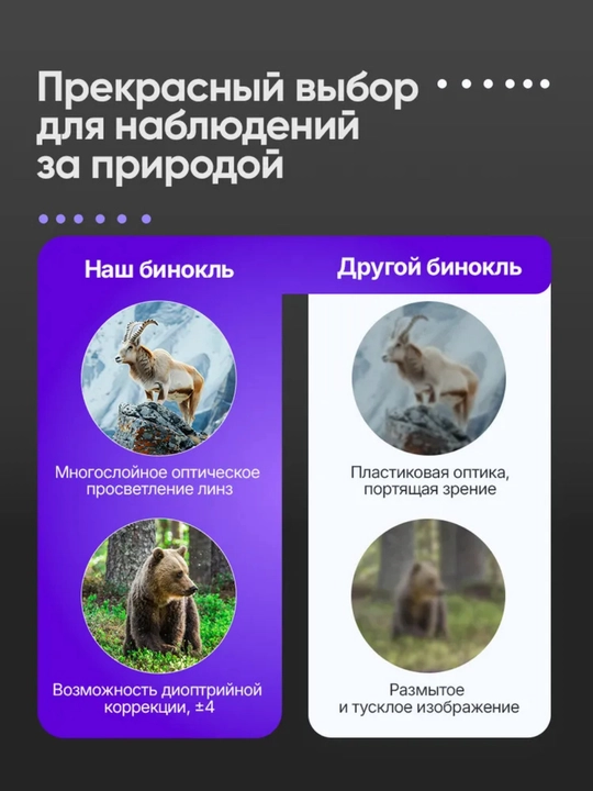 Бинокль Landview 10x42 Лёгкий турристический