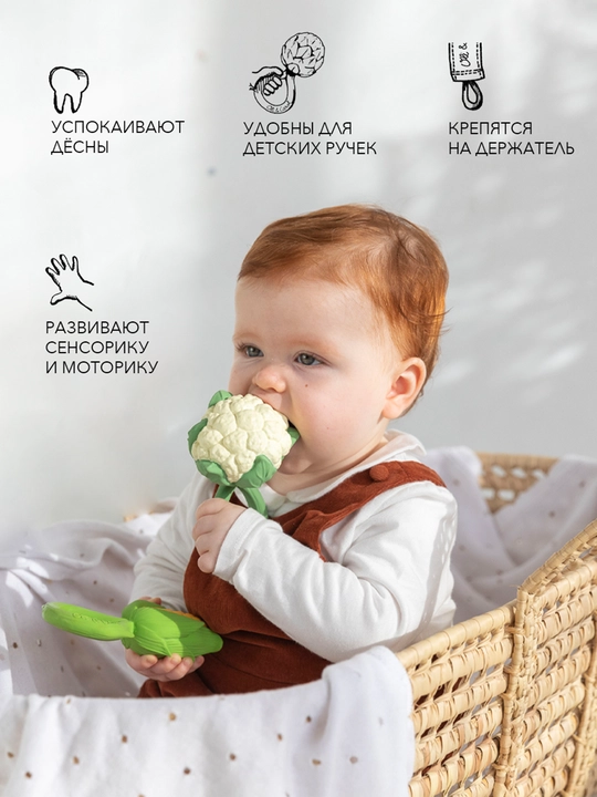 Oli&Carol tishlash va shovqin chiqaruvchi o‘yinchoq, rangli karam