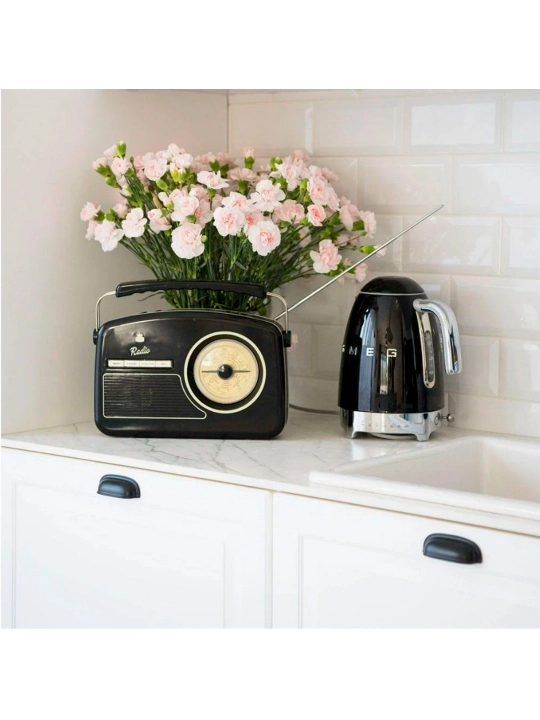 SMEG elektr choynagi