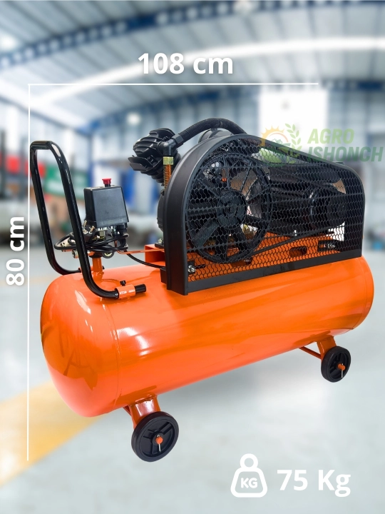 Компрессор SCHPINDEL SCHACBM50-50, SCHAC2065A-100, 1300 вт, 2200 вт