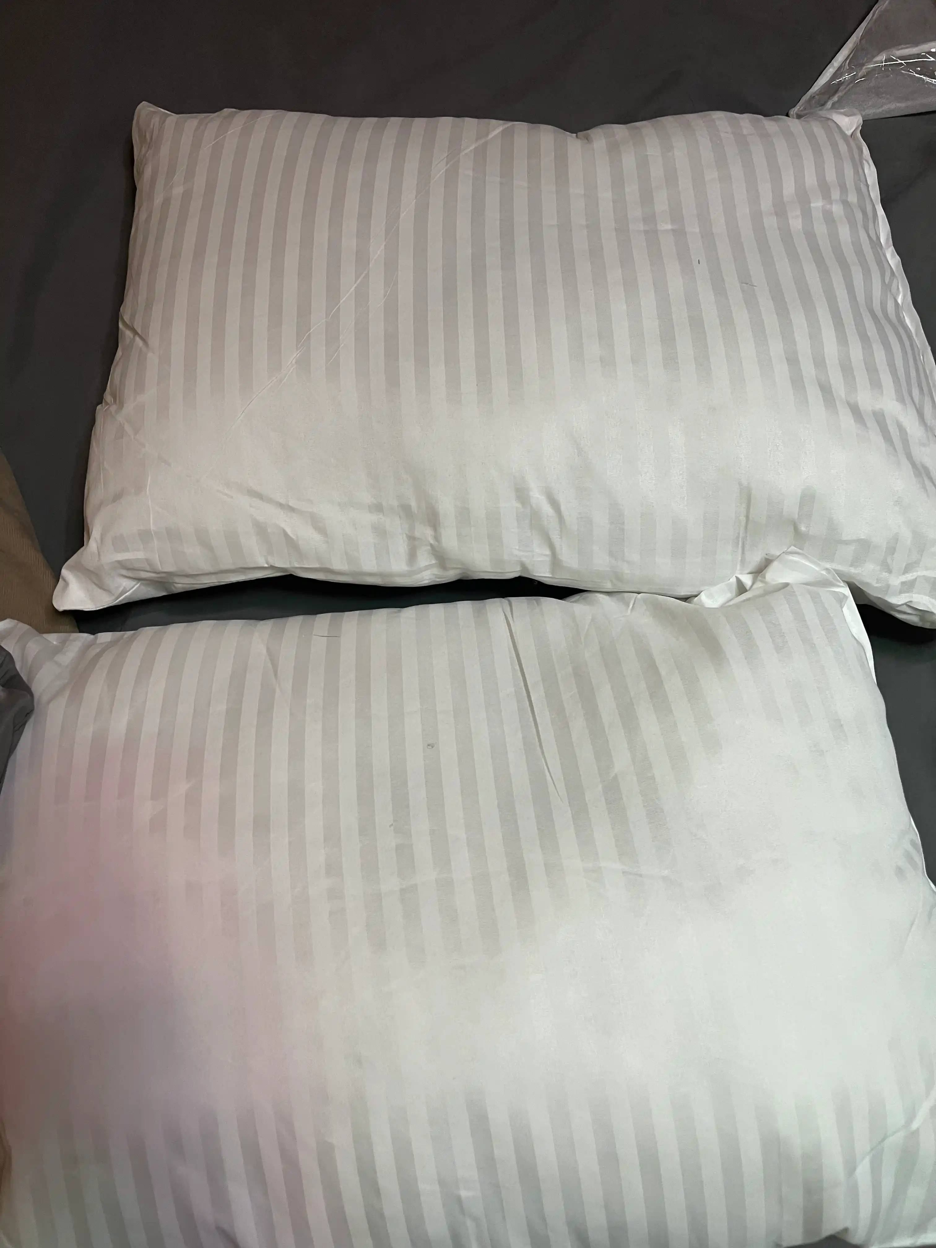 Rania yostiqlar to'plami, eko-bambuk, gipoallergen, 2 dona