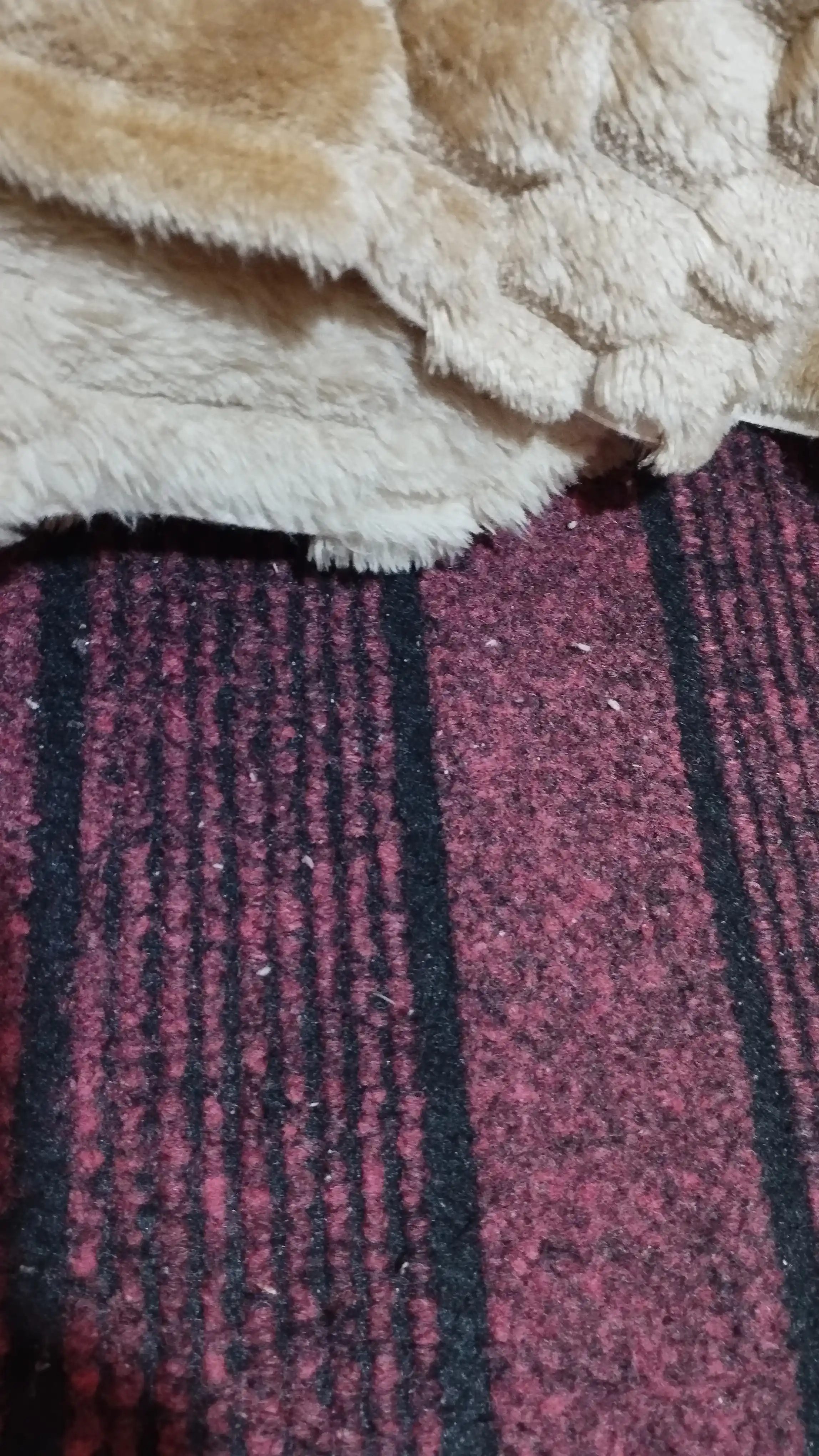 Плед-покрывало, одеяло для кровати 180 × 200 и 200 × 220 см, мягкий велсофт, полиэстер
