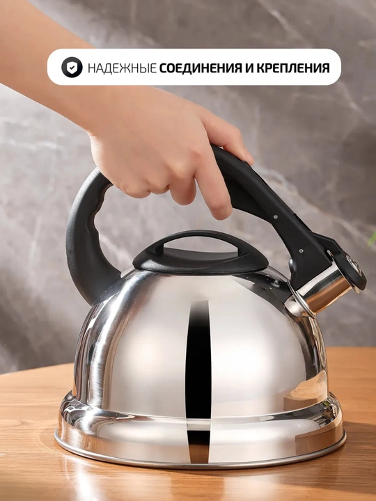 Чайник сочный, 3 литра, нержавеющая сталь, для всех видов пластин