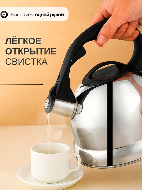 Чайник сочный, 3 литра, нержавеющая сталь, для всех видов пластин