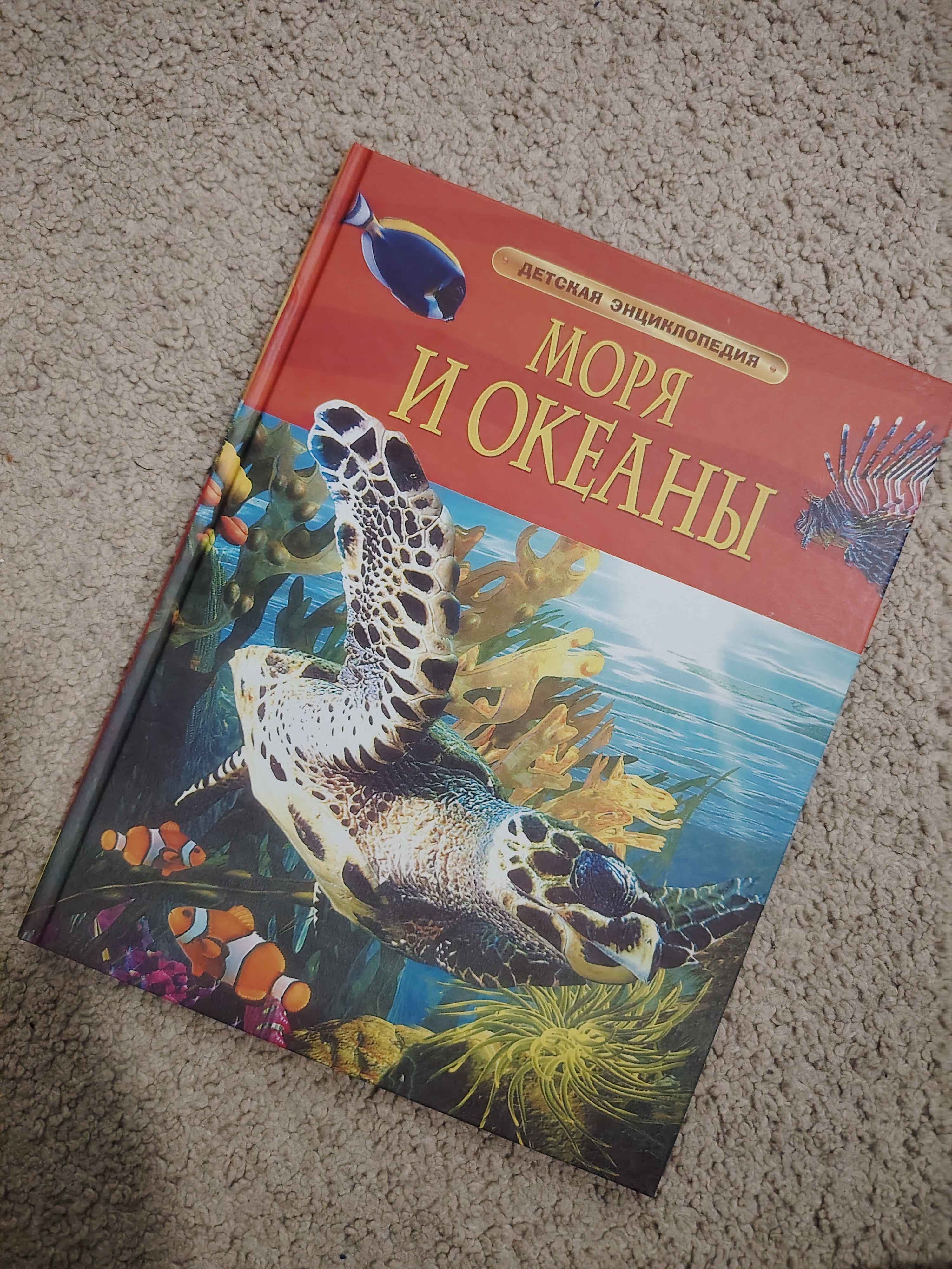 Детская энциклопедия школьника