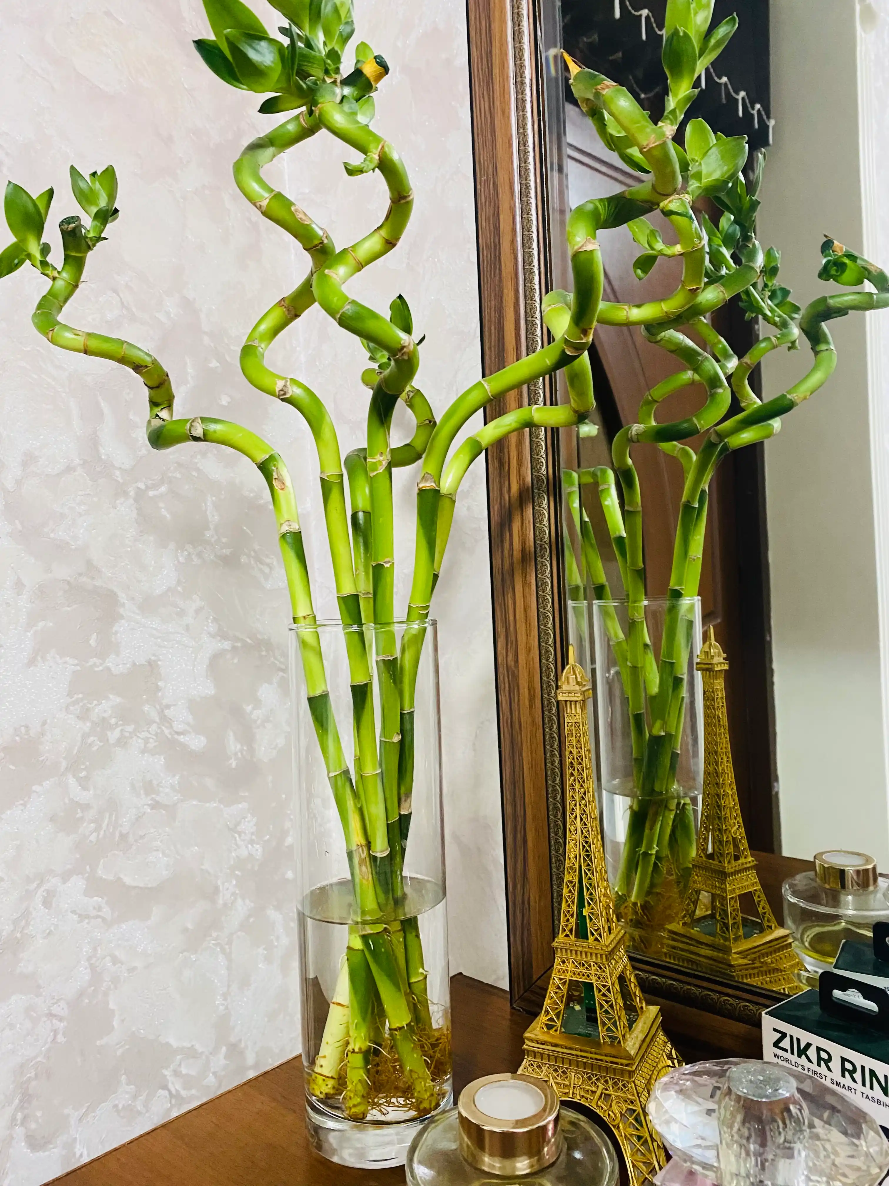 Pasabahce Flora shisha guldoni, 26.5 sm, 1 l, shaffof, quruq gullar va guldastalar uchun mo‘ljallangan