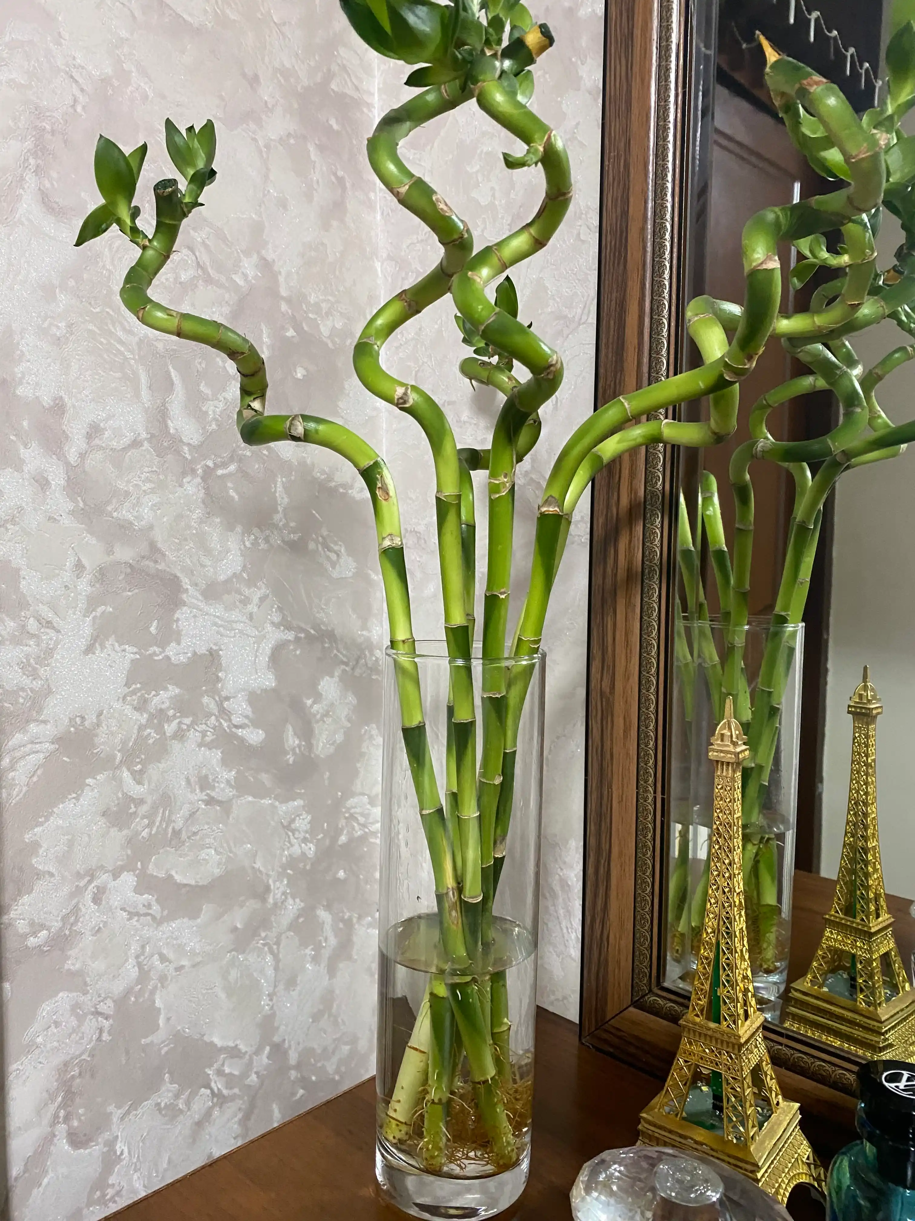 Pasabahce Flora shisha guldoni, 26.5 sm, 1 l, shaffof, quruq gullar va guldastalar uchun mo‘ljallangan