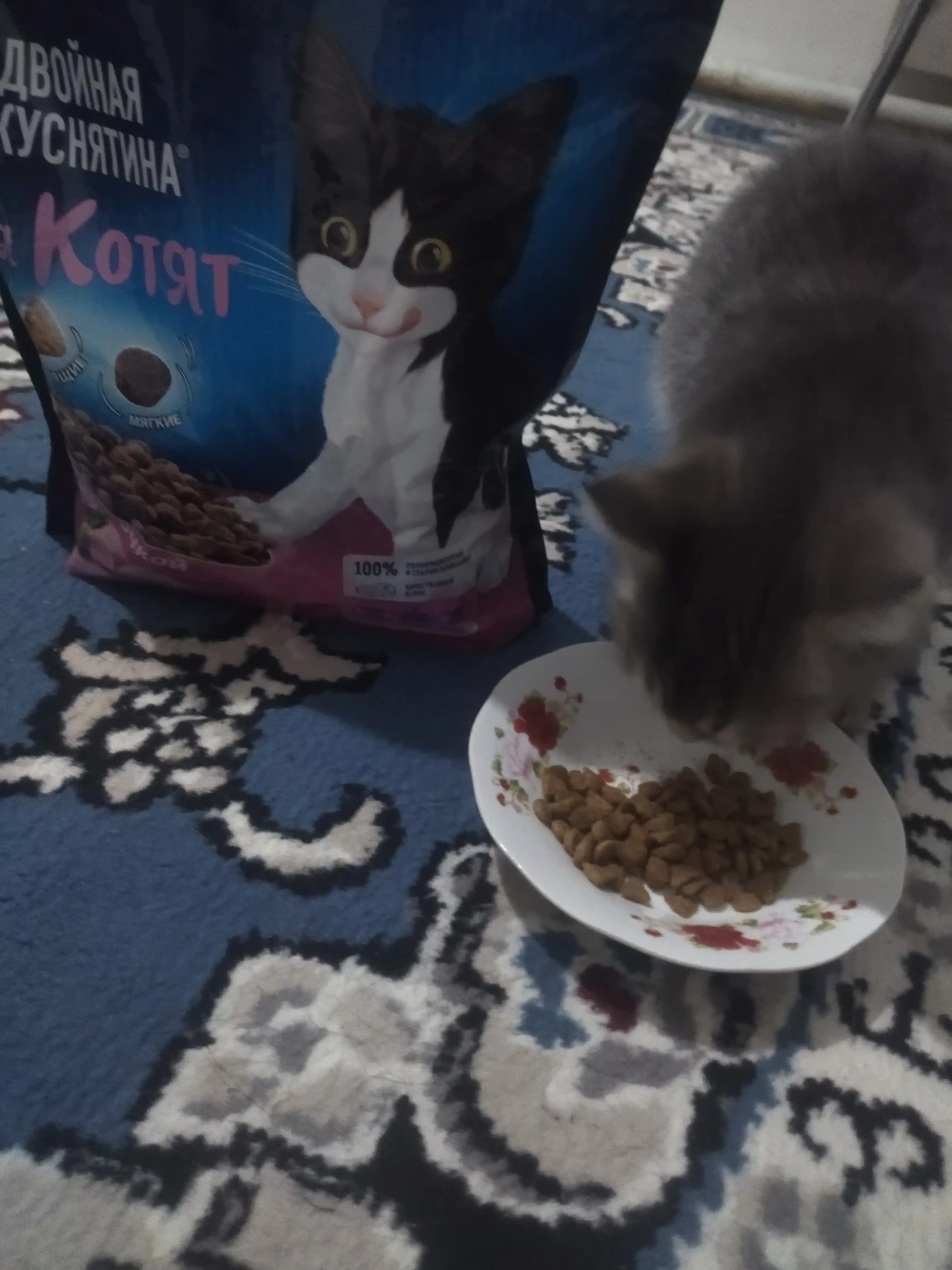 Felix mushukchalar uchun quruq ovqat, tovuq goshtli 600 gr