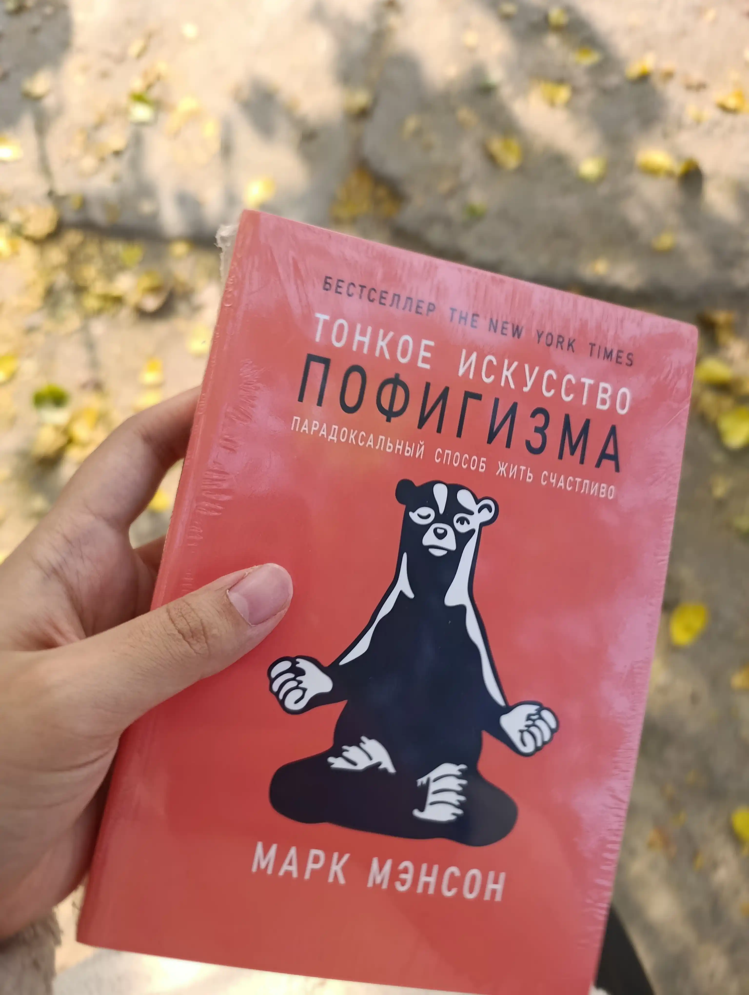 Тонкое искусство пофигизма, Марк Мэнсон