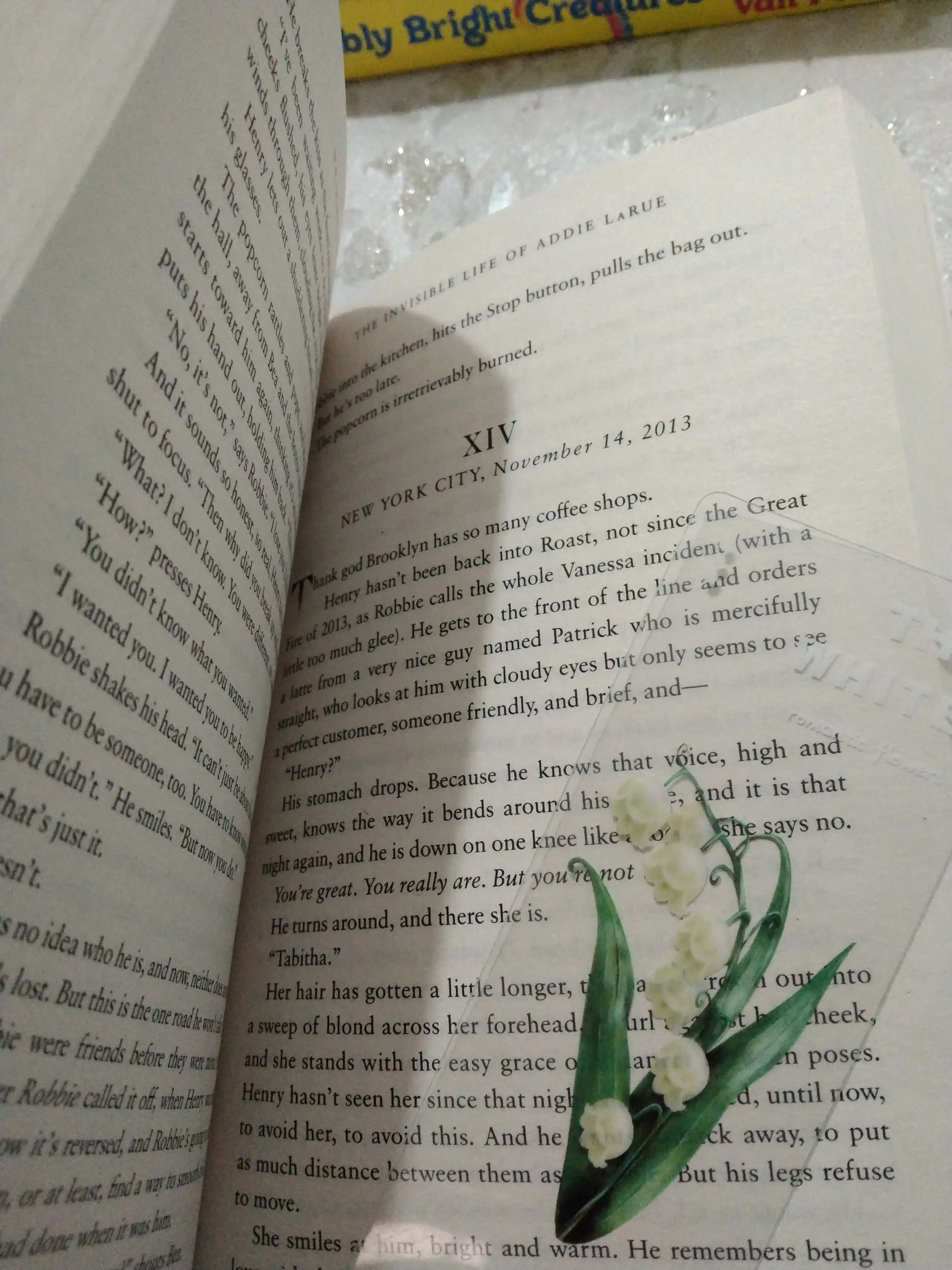 Invisible Life of Addie Larue. V. E. Schwab