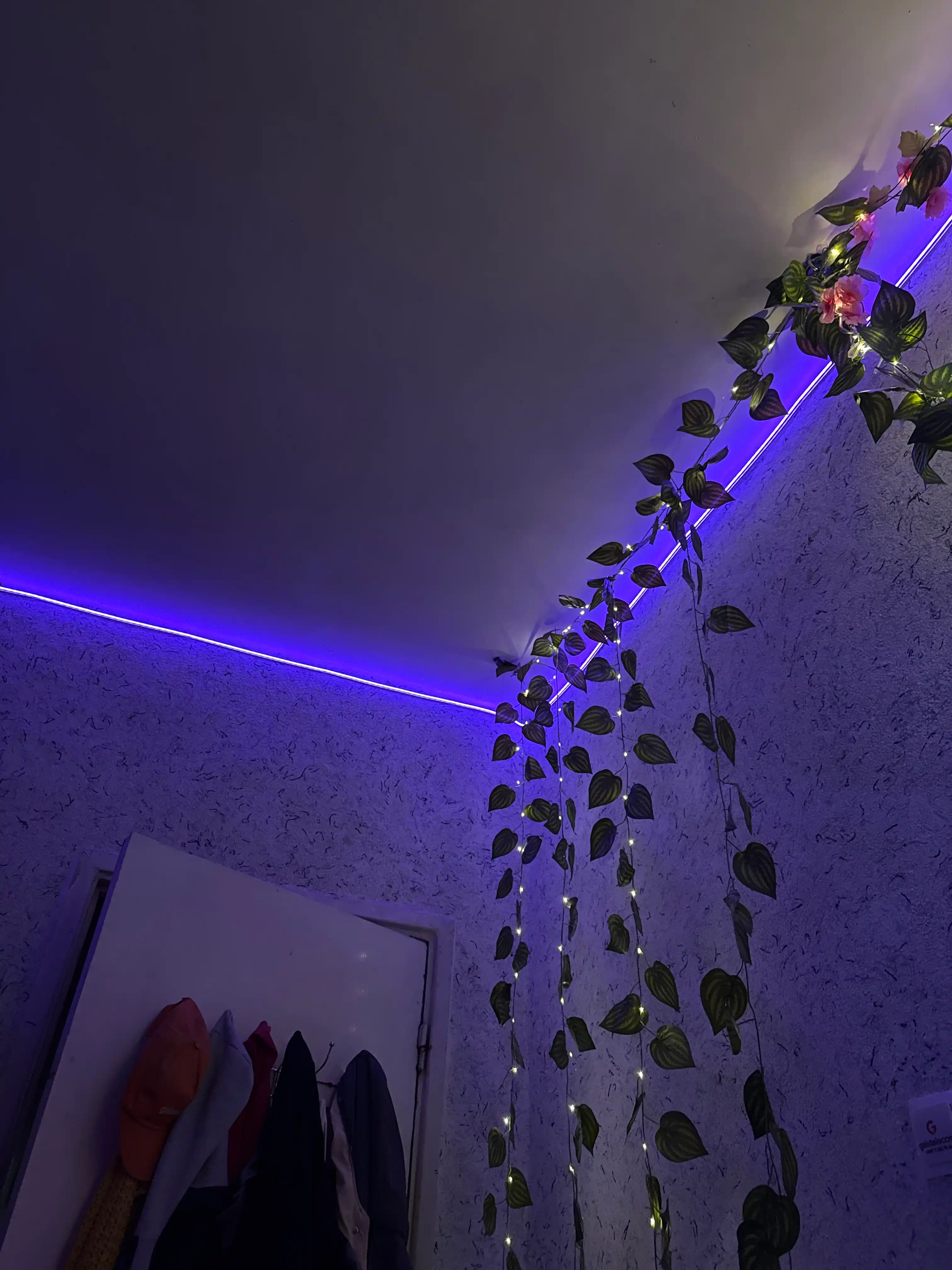 Egiluvchan neon LED tasmasi, RGB LED pulti, tovushga rangli reaksiya