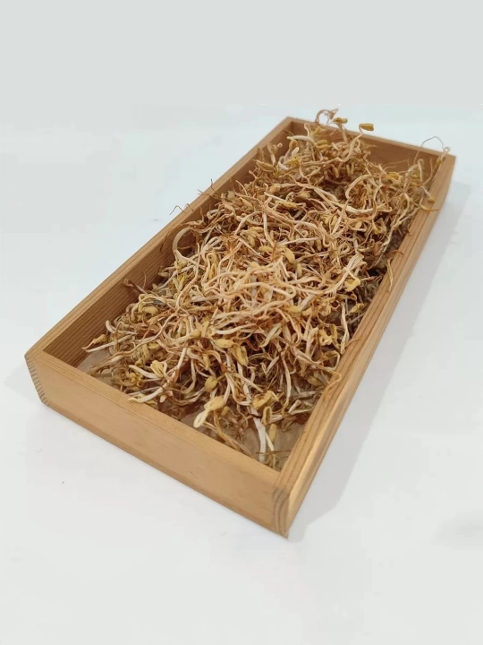 Quritilgan unib chiqqan mosh urug'lari