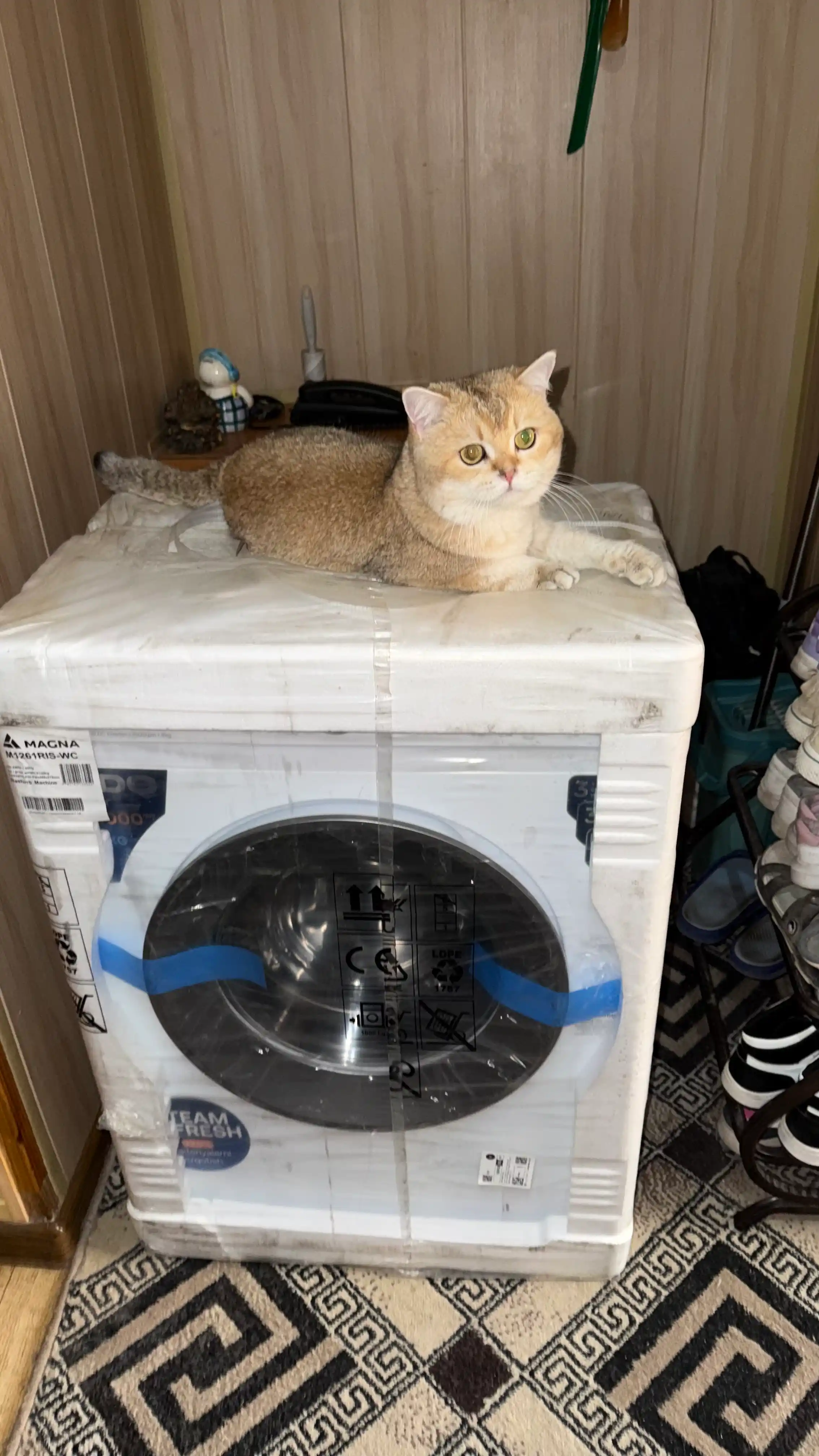 Kir yuvish mashinasi Magna, invertor motor, 6 kg, 1000 ob/daq, bug' bilan yuvish