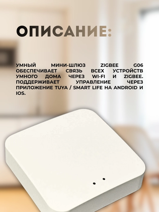 Умный мини-шлюз ZigBee G06 Умный дом