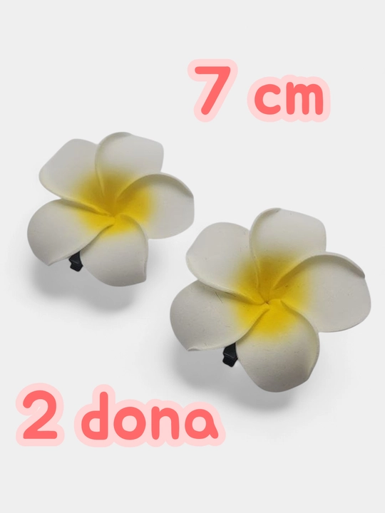 Soch qisqichi, gavayi uslubidagi gul, nevidimka, zakolka - 