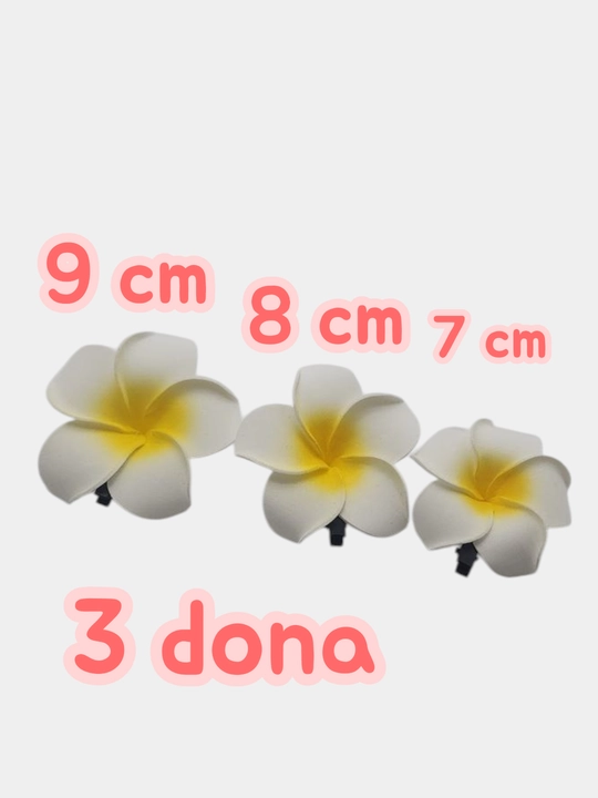 Soch qisqichi, gavayi uslubidagi gul, nevidimka, zakolka - 