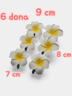 Korall