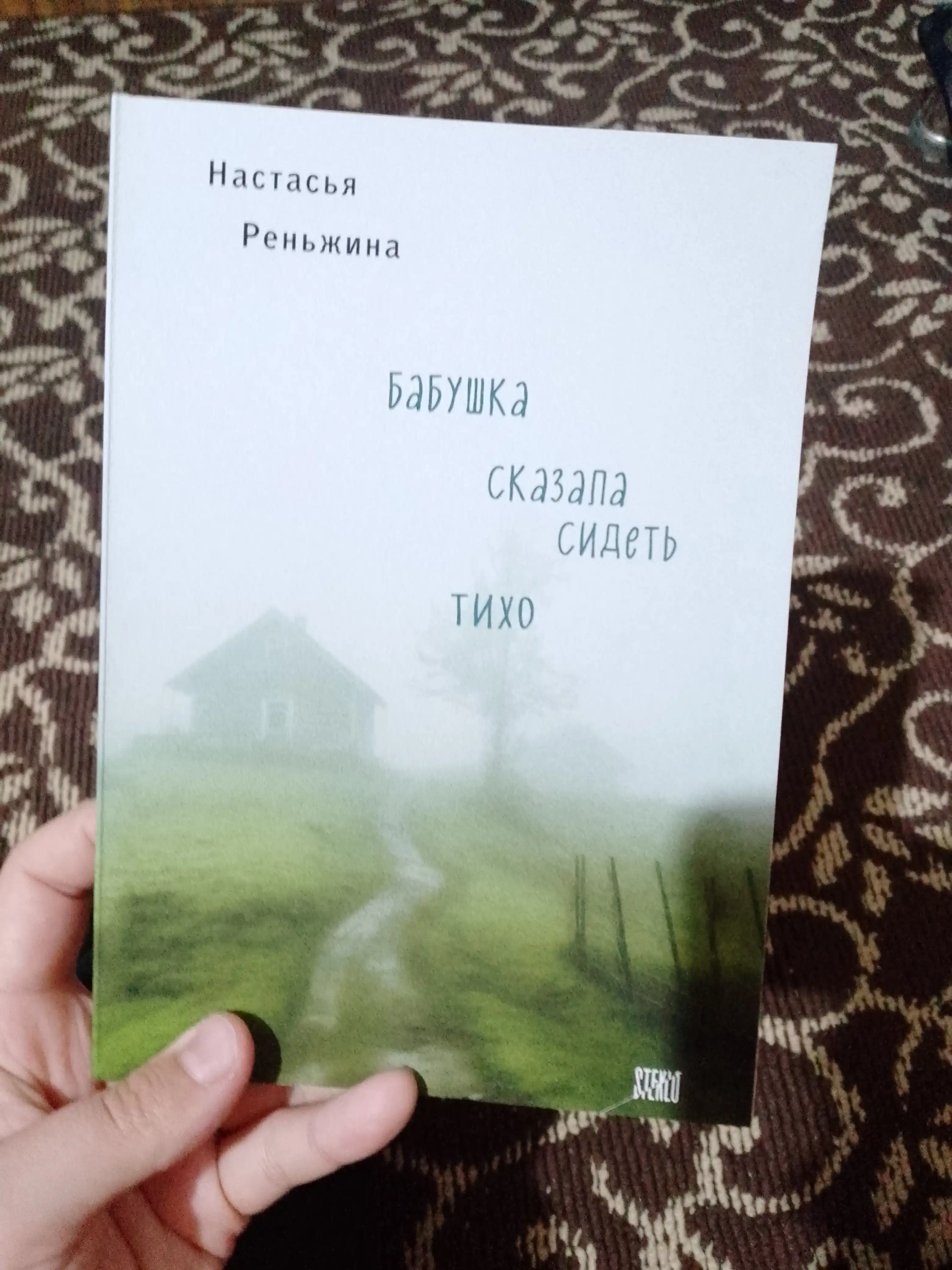 Бабушка сказала сидеть тихо. Реньжина Настасья