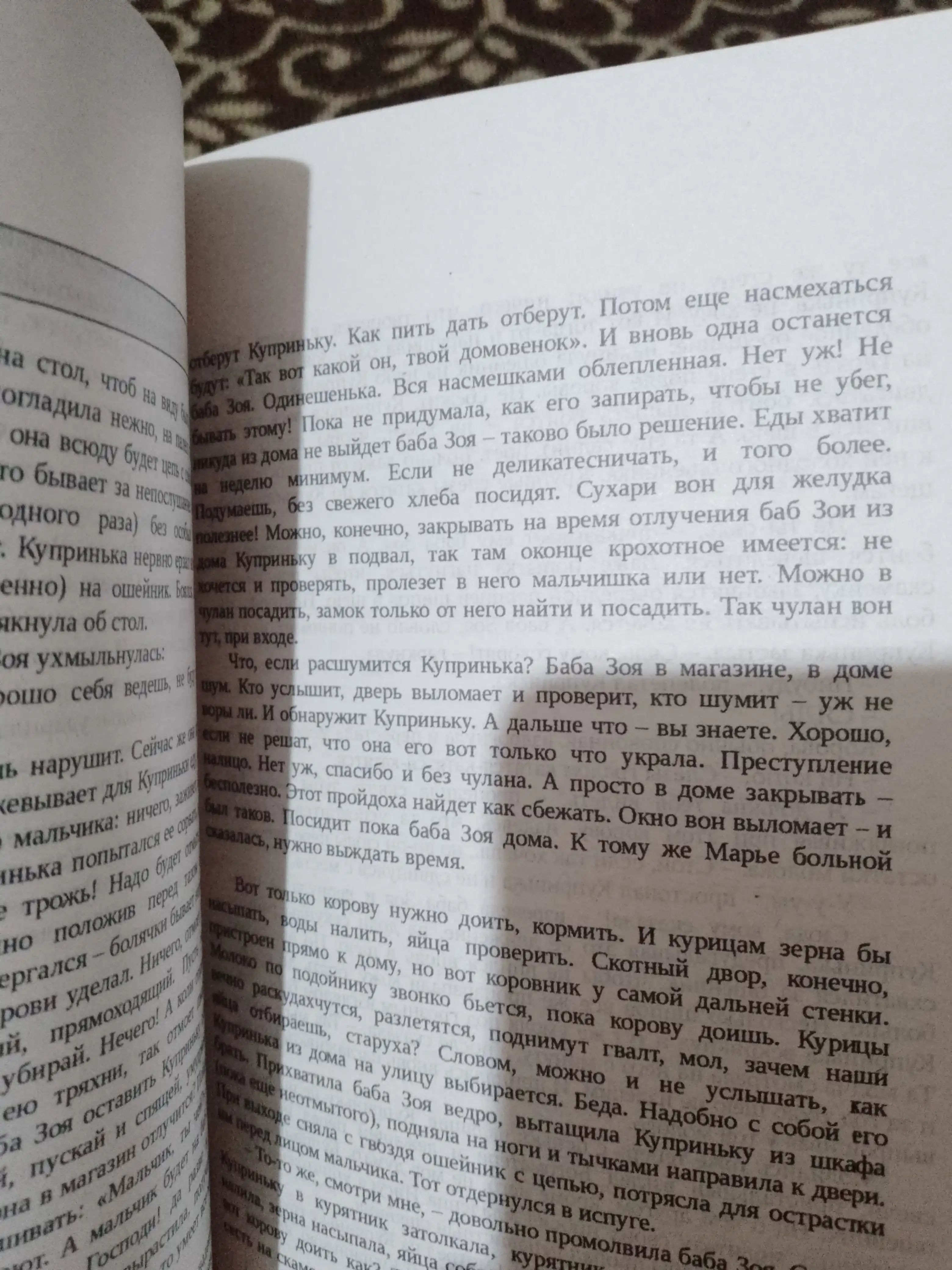 Бабушка сказала сидеть тихо. Реньжина Настасья