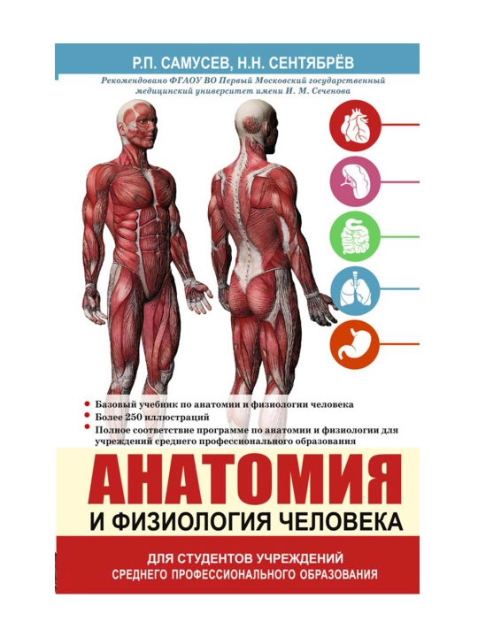 Анатомия и физиология человека. Учебное пособие для студентовю