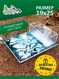 Feruza 