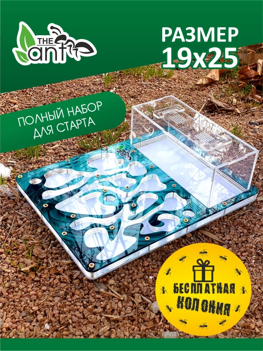 Chumolilar fermasi, formikarium - 