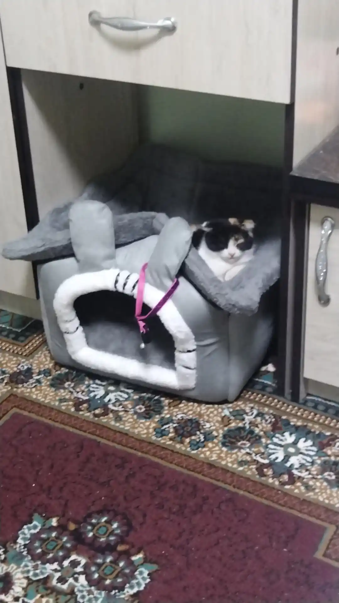 Домик для кошек