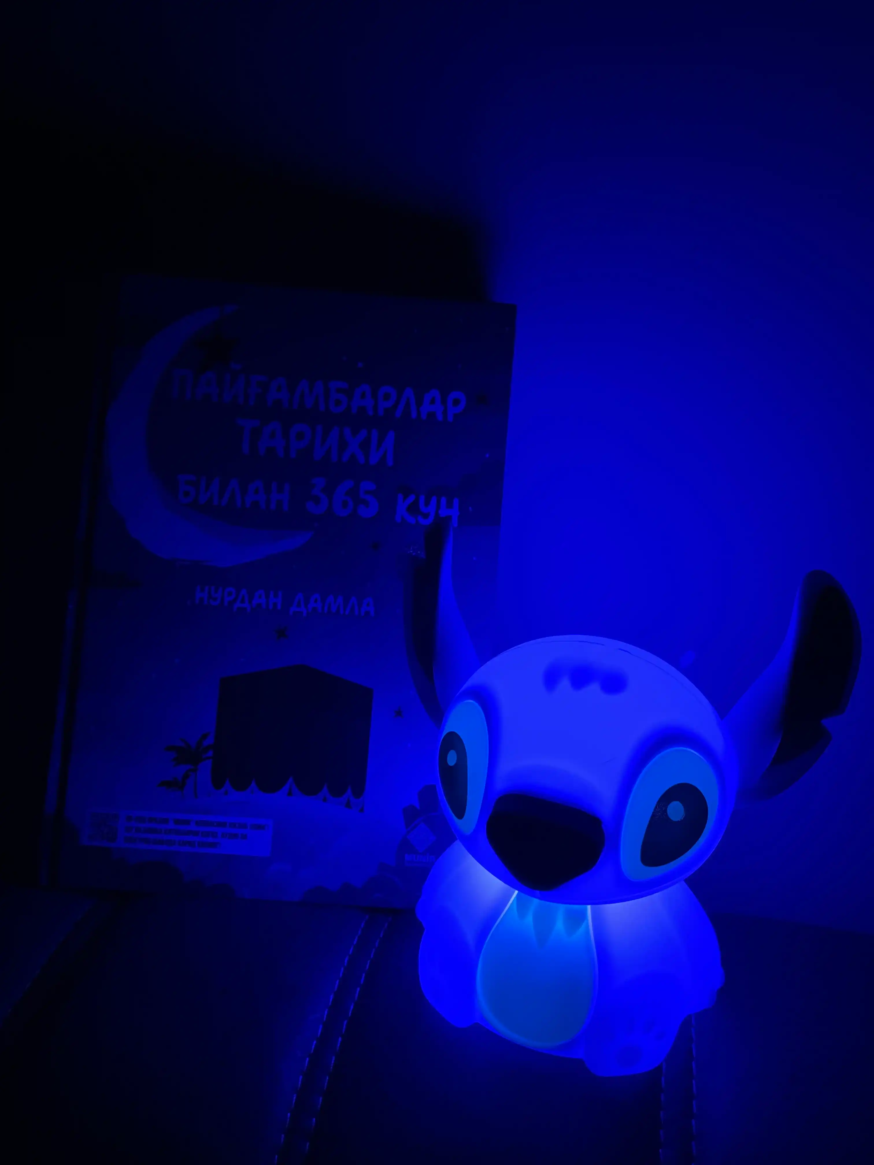 Tungi chiroq, silikon chirog‘i, Pandochka, O‘rdakcha, Karam, Yakkashox, Quyon