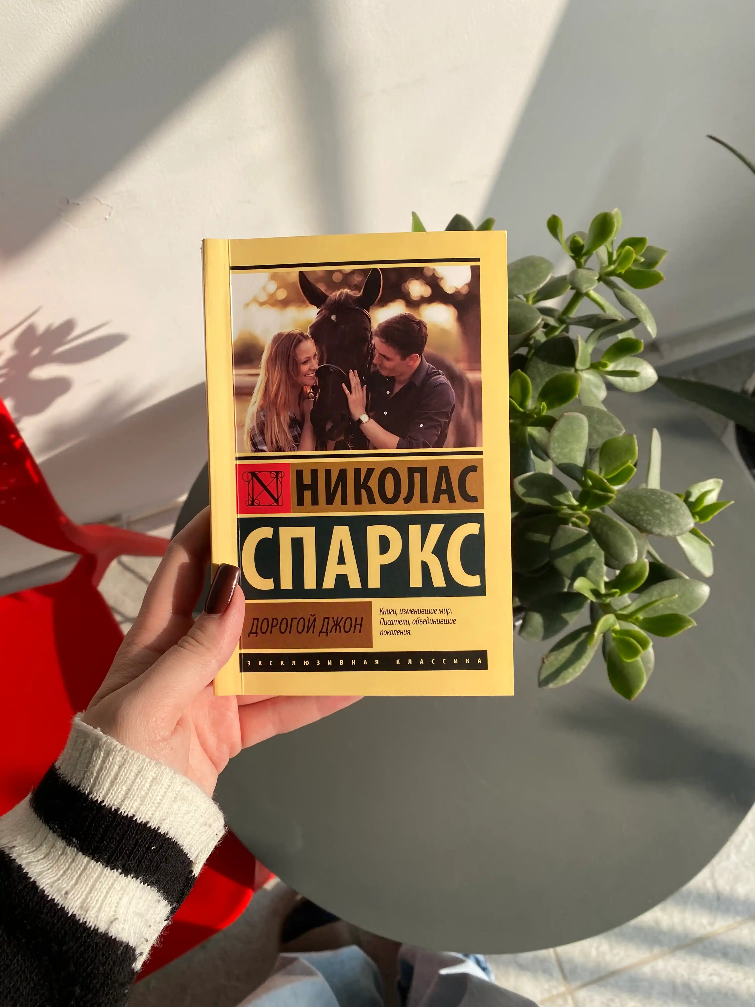Дорогой Джон, Николас Спаркс