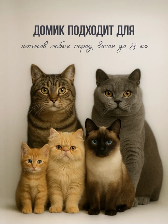 Домик для кошек