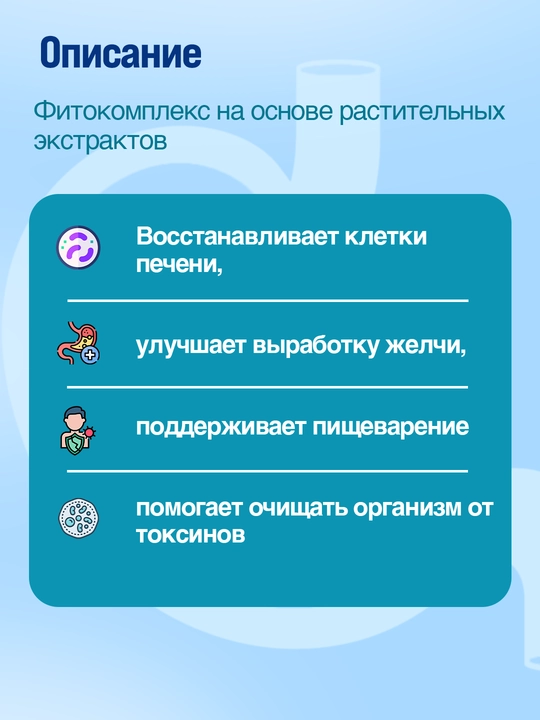 Ливофит - растительные капсулы для поддержки печени и ЖКТ