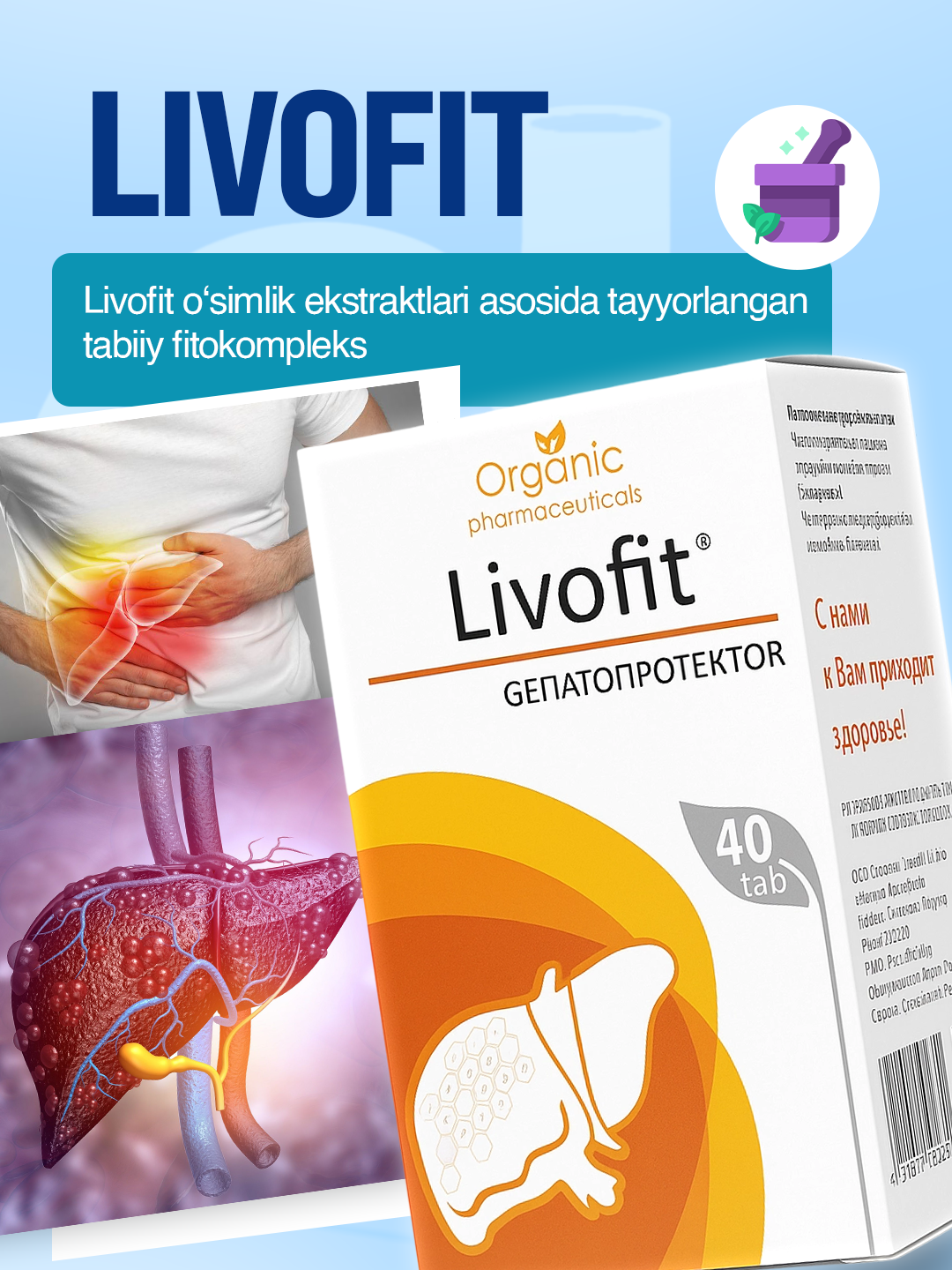 Livofit - jigar faoliyatini qo‘llovchi o‘simlik kapsulalari – hazmni yaxshilaydi - 