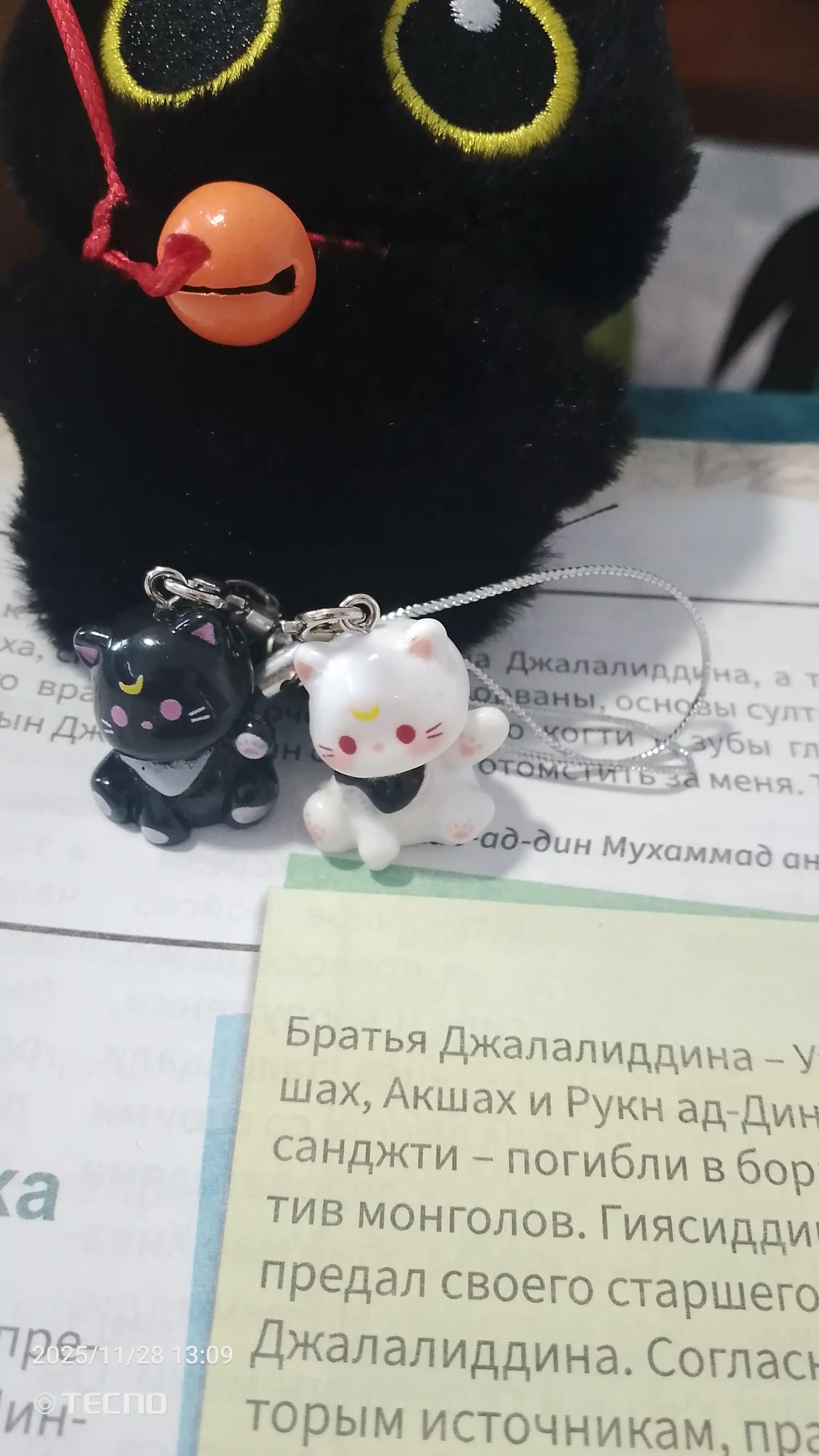 Juft kalit ilgichlari Mushukchalar, telefon, ryukzak va kalitlar uchun, 2 dona