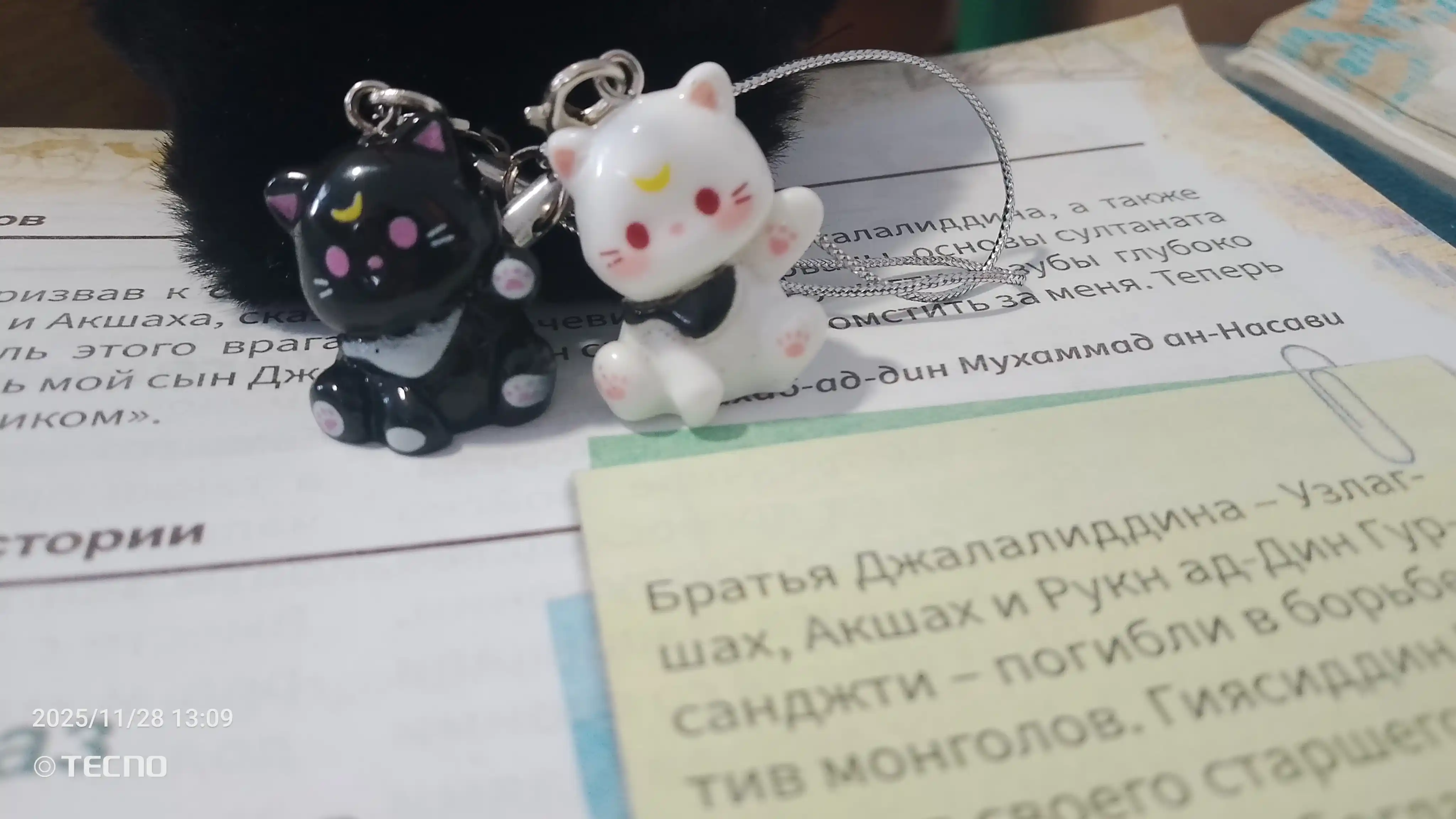 Juft kalit ilgichlari Mushukchalar, telefon, ryukzak va kalitlar uchun, 2 dona