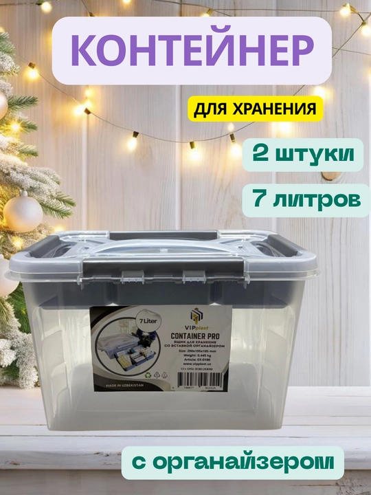 Контейнер с органайзером для хранения вещей, 2 штуки