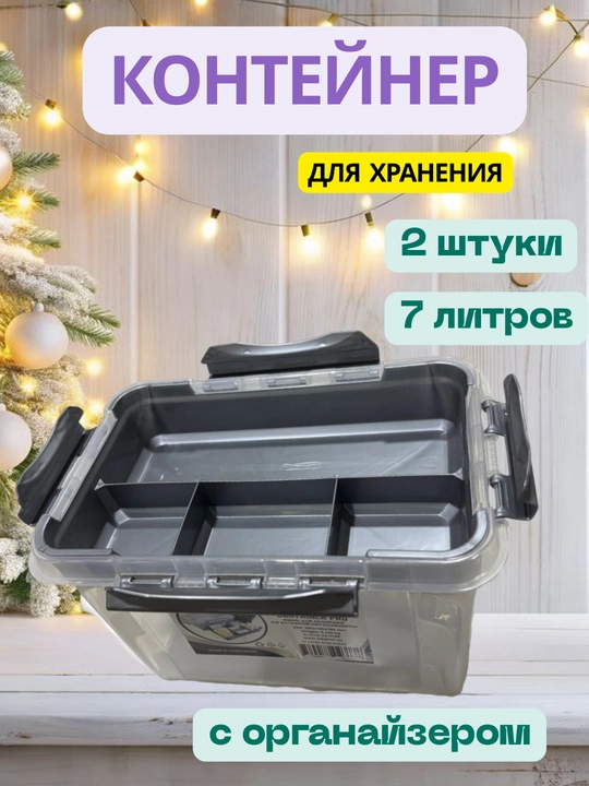 Контейнер с органайзером для хранения вещей, 2 штуки