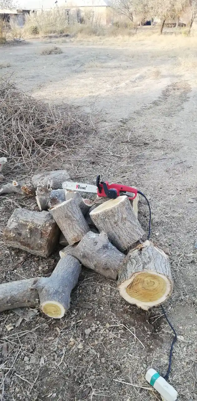 Arra zanjirli, elektrli "NUMBER ONE" ECS1200-2, 1200 Vt