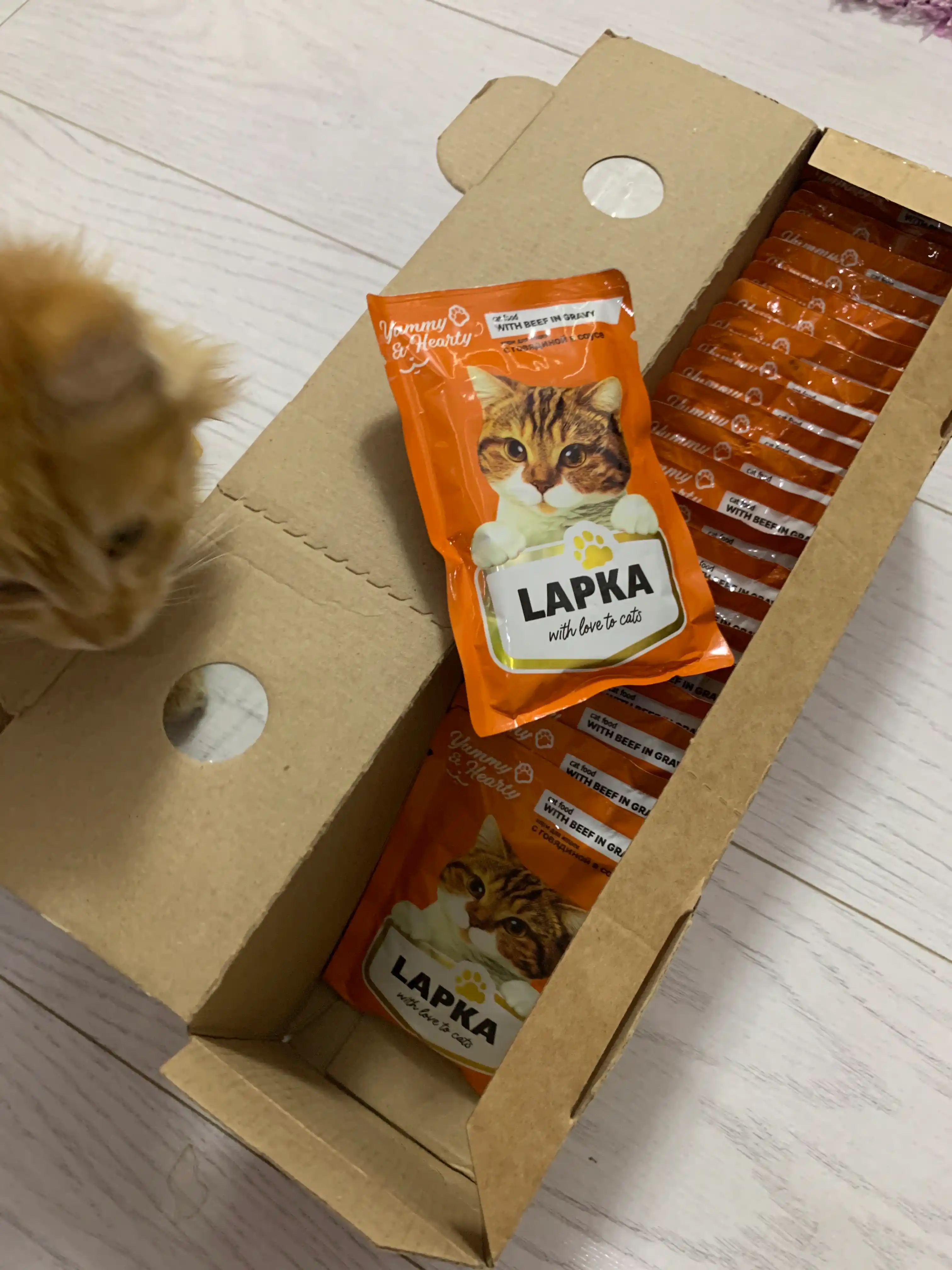 Lapka mushuklar uchun nam yem, sousdagi mol go'shti bilan, 85 gr 28 dona