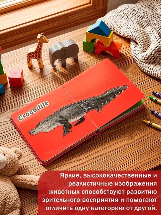 Ingiliz tilini o'rgatish uchun Usborne kitobi, qattiq muqovali bolalar kitoblari, 10 dona