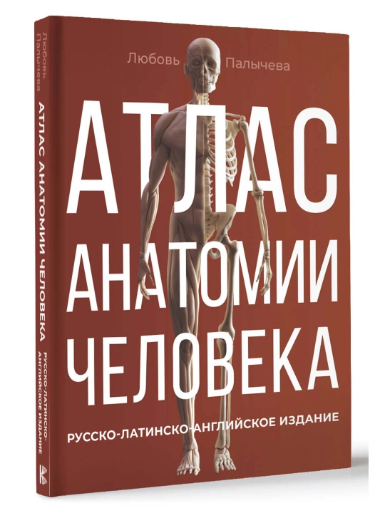 Атлас анатомии человека. Русско-латинско-английское издание. Палычева Любовь Николаевна - 