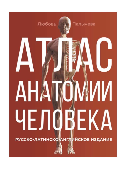 Атлас анатомии человека. Русско-латинско-английское издание. Палычева Любовь Николаевна