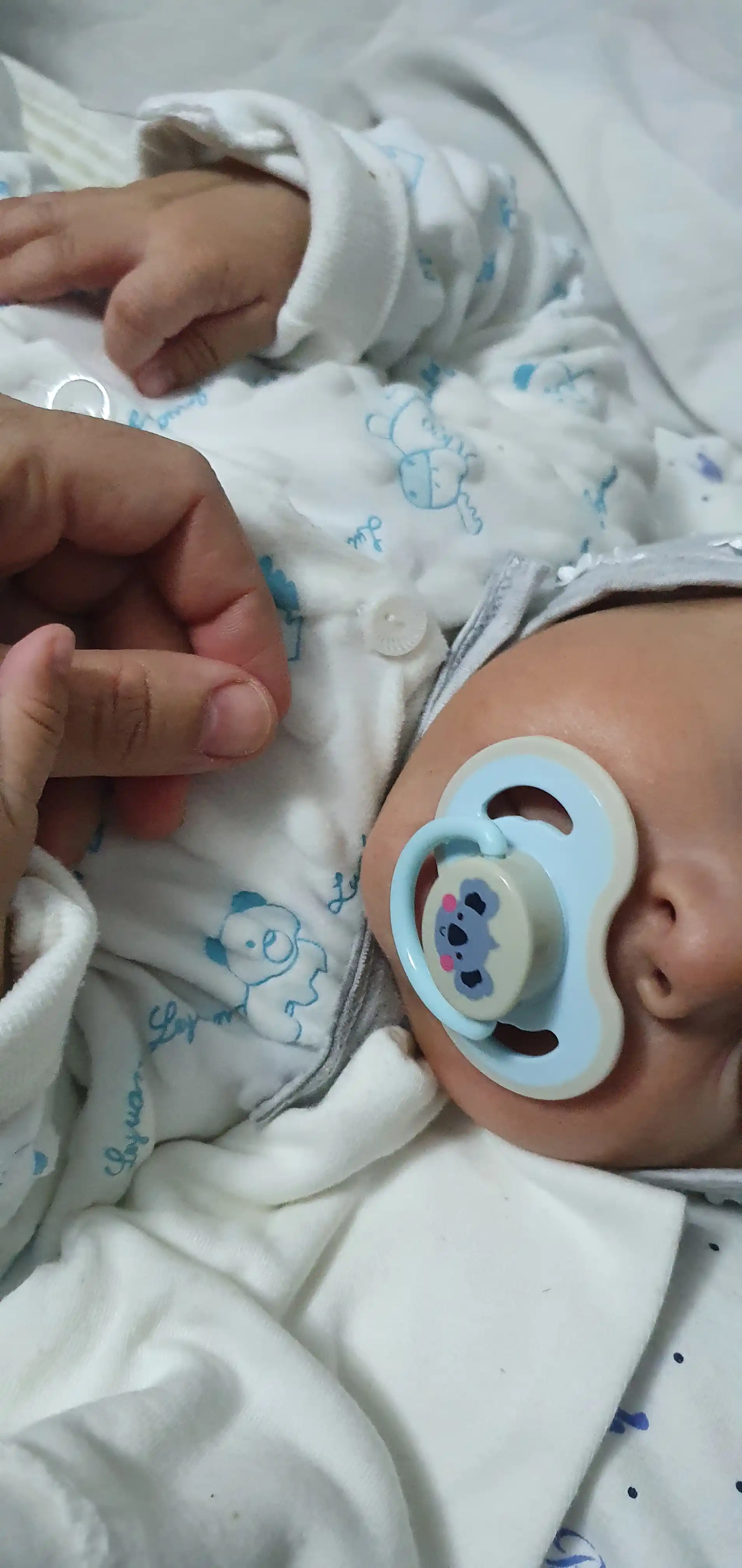Ortodontik silikon so‘rg‘ich, 0-6-18 oylik, Babyland, so‘rg‘ichning 2 turi
