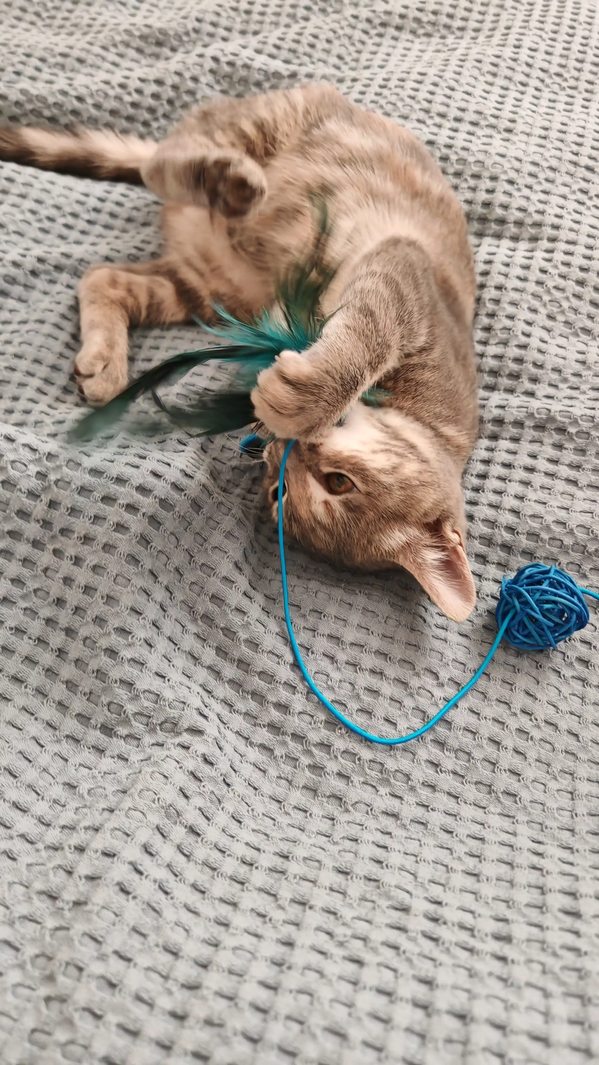 Удочка с плетеным мячиком, игрушка для кошек