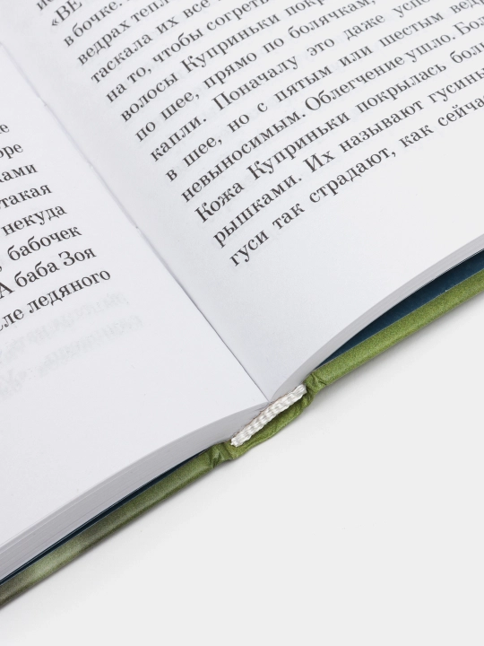 Бабушка сказала сидеть тихо, Реньжина Настасья
